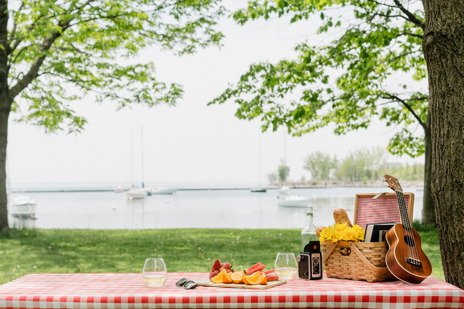 Picnic table in the park with a view of the lake