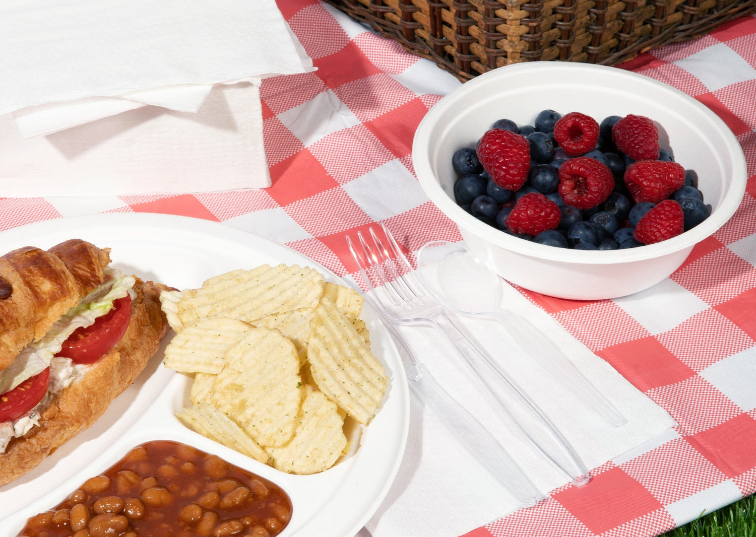 Compo napkins, plates, cutlery, and bowls on a picnic blanket.